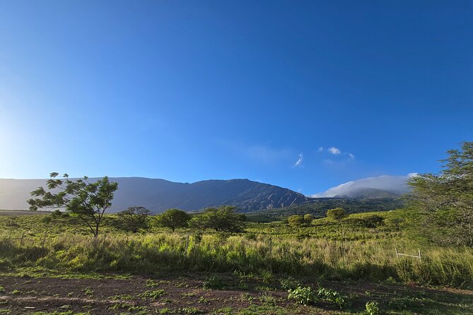Private Road to Hana Tour with Pickup-Ultimate Package, Backside - First Stop: Surf, Sea Turtles, and the Charm of Hookipa Beach Park