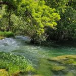 Private Roundtrip Transfer from Zadar to Krka National Park - Meeting Points and Timing for a Smooth Day Out