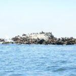 Private Sailing Tour of Bodega Bay - The Captain and Crew: Knowledgeable and Personable Guides