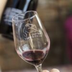 Private Saint-Tropez Peninsula Wine Tour - Sampling Delightful Rosé at Val dAstier