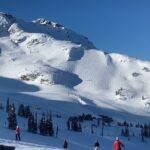 Private, Same Day Round Trip Shuttle Vancouver to Whistler - Starting Point and Meeting Arrangements in Whistler