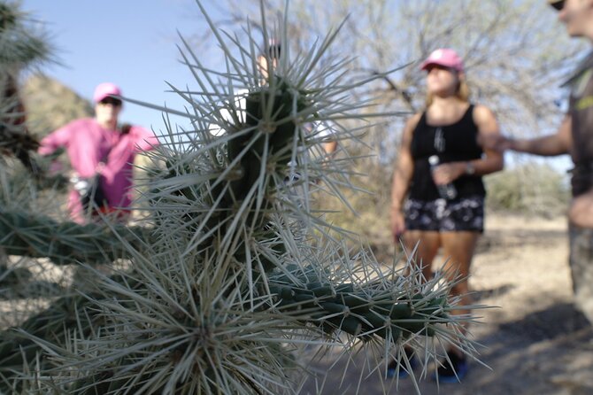 Private Scottsdale Day Hiking Tour - The Gateway Loop Trail: A Moderate Desert Hike