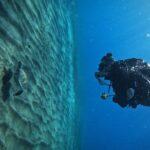 Private Scuba Diving in Tenerife  Certified Instructor & Photos - Starting with Convenient Hotel Pickup in Southern Tenerife