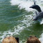 Private Shelling and Dolphin Excursion - What’s Included in Your Shelling and Dolphin Tour