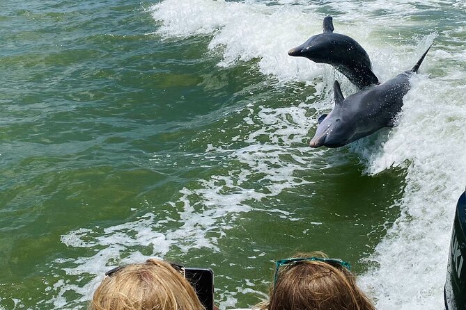 Private Shelling and Dolphin Excursion - What’s Included in Your Shelling and Dolphin Tour