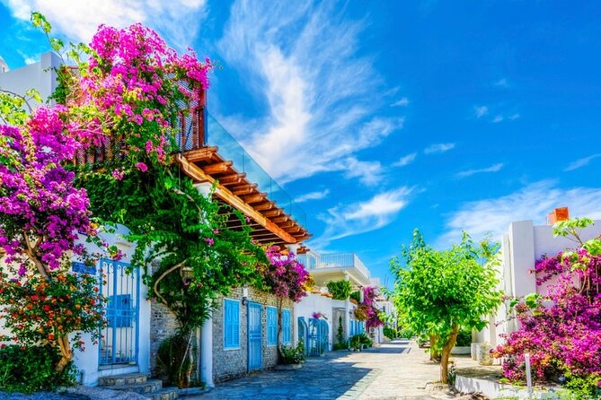 Private Shopping Tour in Bodrum city - Starting Point in Bodrum: Meet Your Guide in the City Center