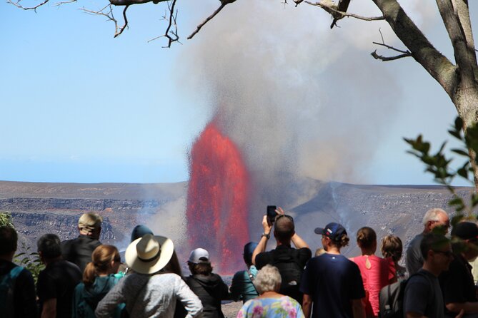 Private Shore Excursion Hilo Volcanoes National Park up to 10 PPL - The Comfort and Convenience of Private Transportation