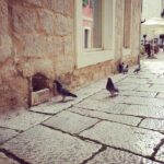 Private Sibenik Walking Historical Morning or Evening Tour - Fortresses and Defense Structures