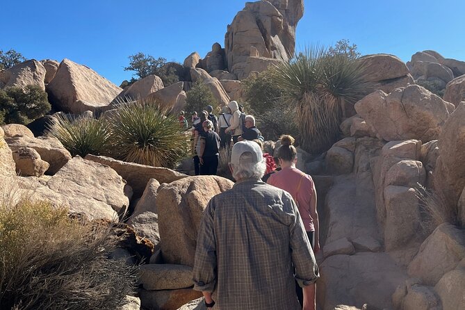 Private Sightseeing Adventure Tour of Joshua Tree National Park - Discovering Joshua Tree’s Oldest Rocks at Quail Springs
