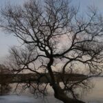 Private Sigtuna Tour from Stockholm - Oldest Town of Sweden - Discovering Sweden’s Oldest Town: Sigtuna’s Origins and Charm