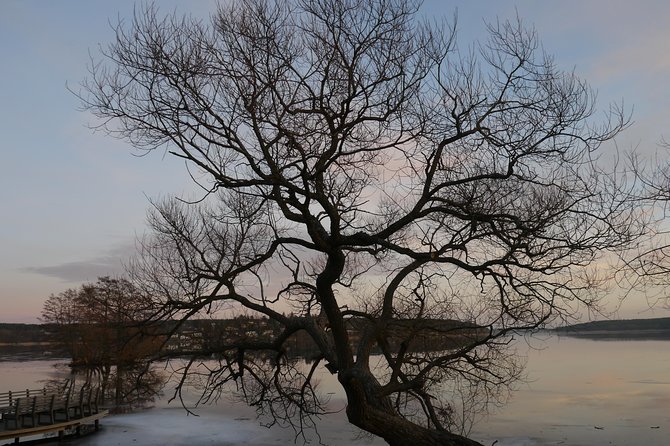 Private Sigtuna Tour from Stockholm - Oldest Town of Sweden - Discovering Sweden’s Oldest Town: Sigtuna’s Origins and Charm