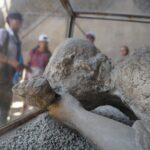 Private Skip-the-Line Pompeii & Mt. Vesuvius Tour from Positano - The Pompeii Basilica and Forum: Centerpieces of Roman Public Life