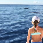 Private Snorkel Trip from Oahu on a Yacht - The Yacht: An Upscale Private Vessel for Small Groups