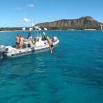 Private Snorkeling and Wildlife on The Adventure Boat - Why the Fast and Farther Boats Make a Difference