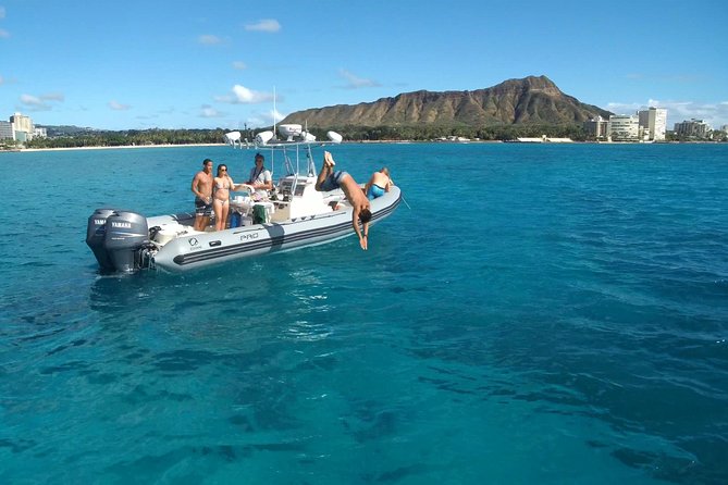 Private Snorkeling and Wildlife on The Adventure Boat - Why the Fast and Farther Boats Make a Difference