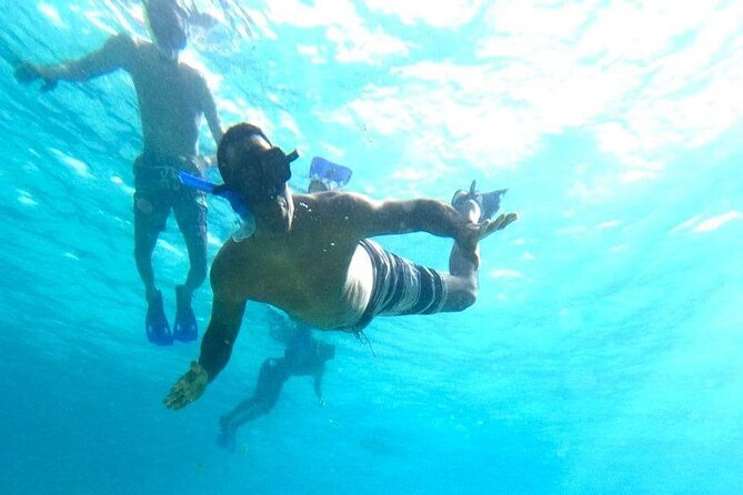 Private snorkeling tour to El Cielo - Exploring Palancar Reef: Cozumel’s Marine Treasure