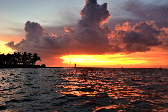 Private Sunset Cruise in Key Largo - Wildlife Watching and Nature Narration with Captain Stewy