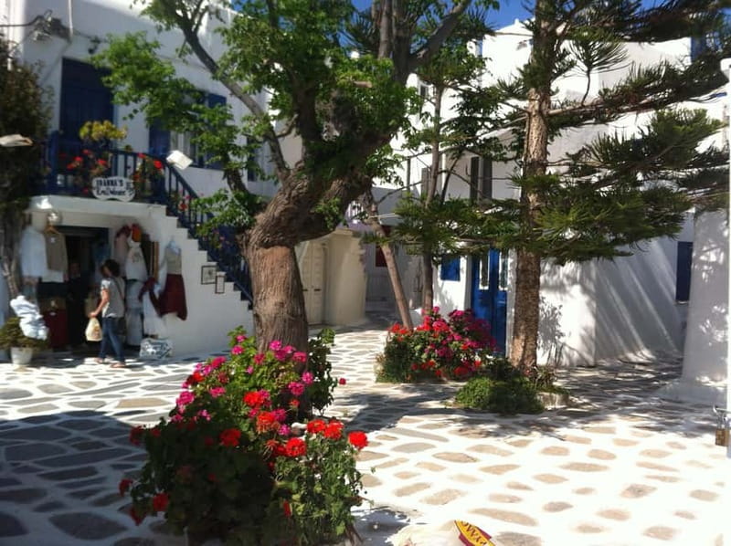 Private: Taste of Mykonos: Panoramic Views & Local Delights - Visiting Armenistis Lighthouse for Panoramic Views