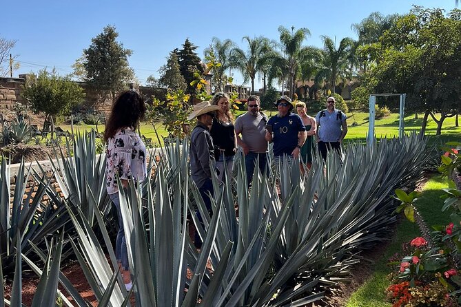 Private Tequila Tour with Local Expert - Exploring the Cava de Oro Distillery and Tequila Town
