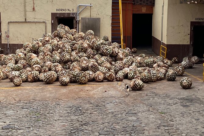 Private Tequila Tour - Pickup and Transportation from Guadalajara