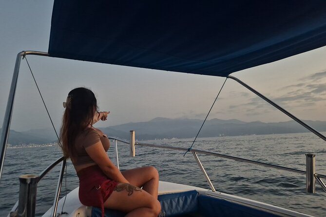 Private Tour 3 Hours of Whale Watching - Dolphin Sightings and Other Marine Wildlife