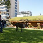 Private Tour: Anchorage 3-Hour Tour - Learning Anchorage’s Culture and History