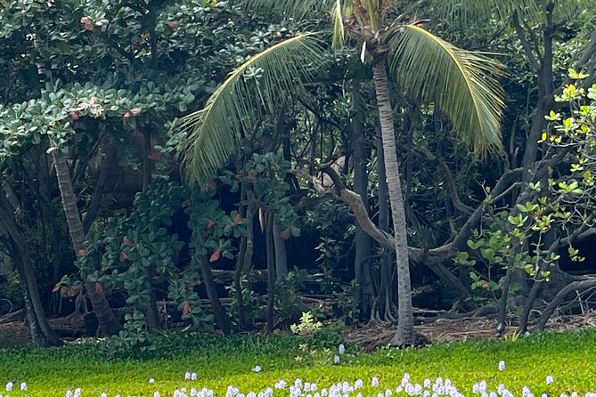 Private Tour Around the Island of Hawaii - Exploring Puuhonua o Honaunau National Historical Park
