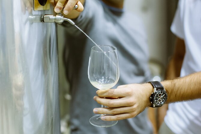 Private Tour at a Family Winery and Basque Coast Route - Exploring Getaria: Charm and Culinary Delights by the Harbor