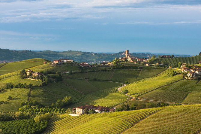 Private Tour: Barolo Wine Tasting in Langhe area from Torino - Visiting the Castle of Barolo and Its Wine Cellars