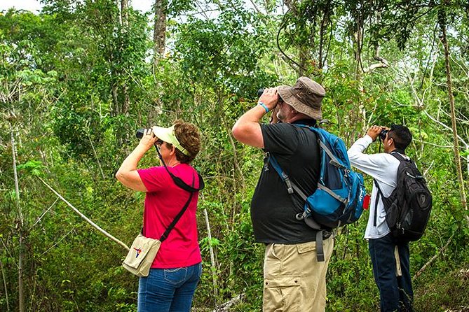 Private Tour: Birdwatching from Cancun - Unique Locations and Birdwatching Spots Near Cancun