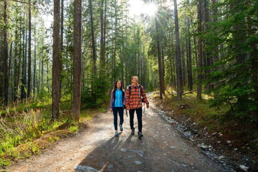 Private Tour: Canmore 2-Hour Guided Nature Walk - Local Trails and Scenic Viewpoints