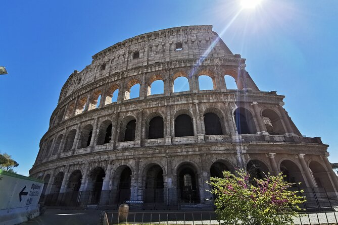 Private Tour Colosseum, Roman Forum & Palatine /arena optional - The Advantages of a Private Guided Visit in Rome