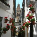 Private Tour: Cordoba Walking Tour with Skip-the-line Tickets - Visiting the Alcazar de los Reyes Cristianos