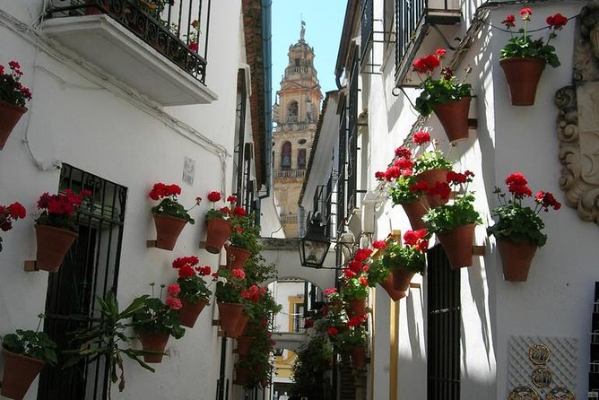 Private Tour: Cordoba Walking Tour with Skip-the-line Tickets - Visiting the Alcazar de los Reyes Cristianos