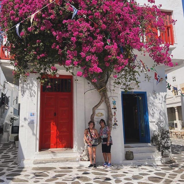Private Tour: Customize Your Perfect Day in Mykonos - Starting Point and Custom Pick-up Arrangements