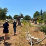 Private Tour: Discover the Secret World of Olives in Afantou - The Farm Environment and Casual Attire Tips