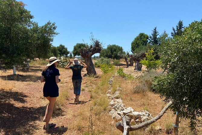 Private Tour: Discover the Secret World of Olives in Afantou - The Farm Environment and Casual Attire Tips