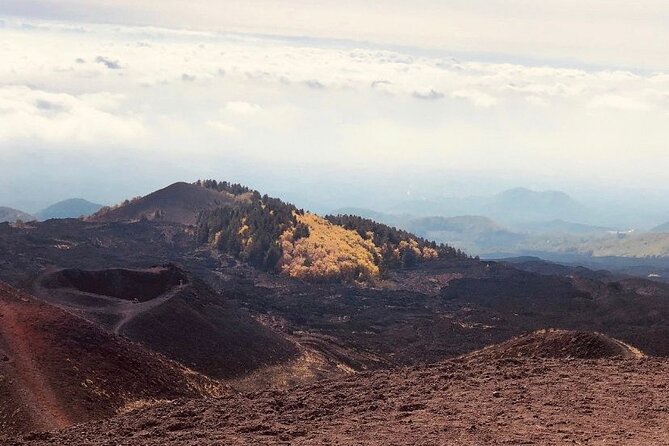 Private Tour Etna and Taormina from Catania - Climbing Mount Etna: Craters and Views