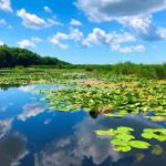 Private Tour from Bucharest to Danube Delta 2 Days Tour - The Comfort and Privacy of a Private Tour