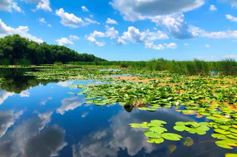 Private Tour from Bucharest to Danube Delta 2 Days Tour - The Comfort and Privacy of a Private Tour