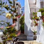 Private tour from Motril to Nerja and the Nerja caves for up to 8 persons - Free Time to Explore Nerja and Frigiliana