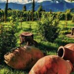 Private Tour From Tbilisi to Kakheti Sighnaghi with Wine Tasting - Starting Point: Convenient Pickup in Tbilisi