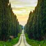 Private Tour from the Port of Livorno to Bolgheri - Strolling Through Bolgheri and the Viale dei Cipressi