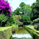 Private tour Full Day Furnas 1 to 4 people - Scenic Outlook at Miradouro Pico do Ferro