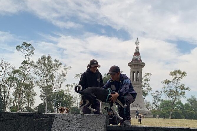 Private Tour in Chapultepec and Museum of Anthropology - Starting at Enno’s Café in Juárez for a Warm Welcome