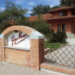 Private Tour in the Cellar and Tasting of Langhe Wines - Starting Point at Via Alba Barolo in Castiglione Falletto