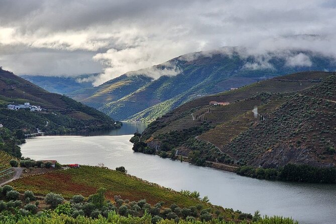 Private Tour in the Douro with Family Vineyards and Miradouro - Starting Point in Peso da Régua and the Tour Duration