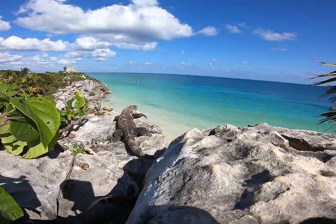 Private Tour in Tulum Ruins with Certified Guide - Meeting Point and End Location Details