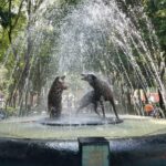 Private Tour Mexico City - Best Rated - Visiting Mirador Torre Latino for City Views