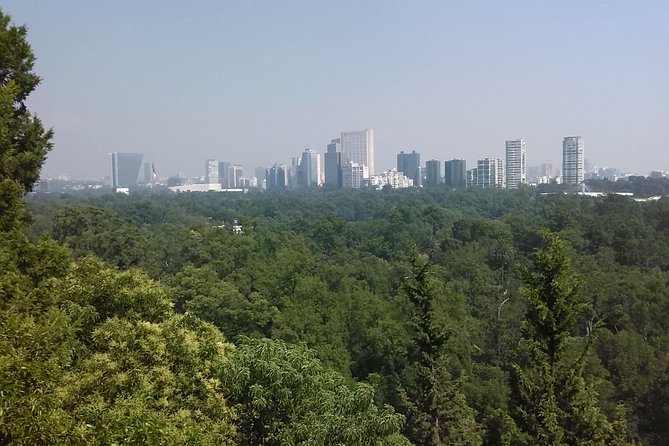 Private Tour Museum of Anthropology and Chapultepec Castle. - Exploring Chapultepec Castle: The Presidential Palace and Historic Landmark